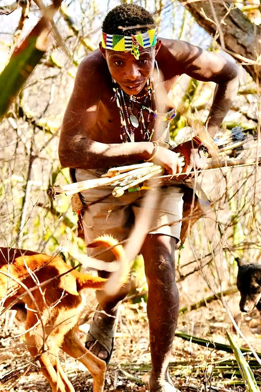 safaris