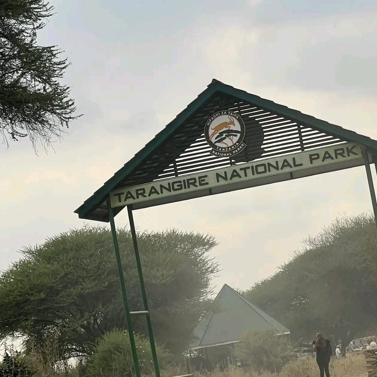 3 Tage Serengeti Nationalpark Safari 