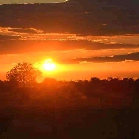 10-Day Nairobi City Tour, Amboseli, Lake Nakuru, Masai Mara, and Mombasa City Safari