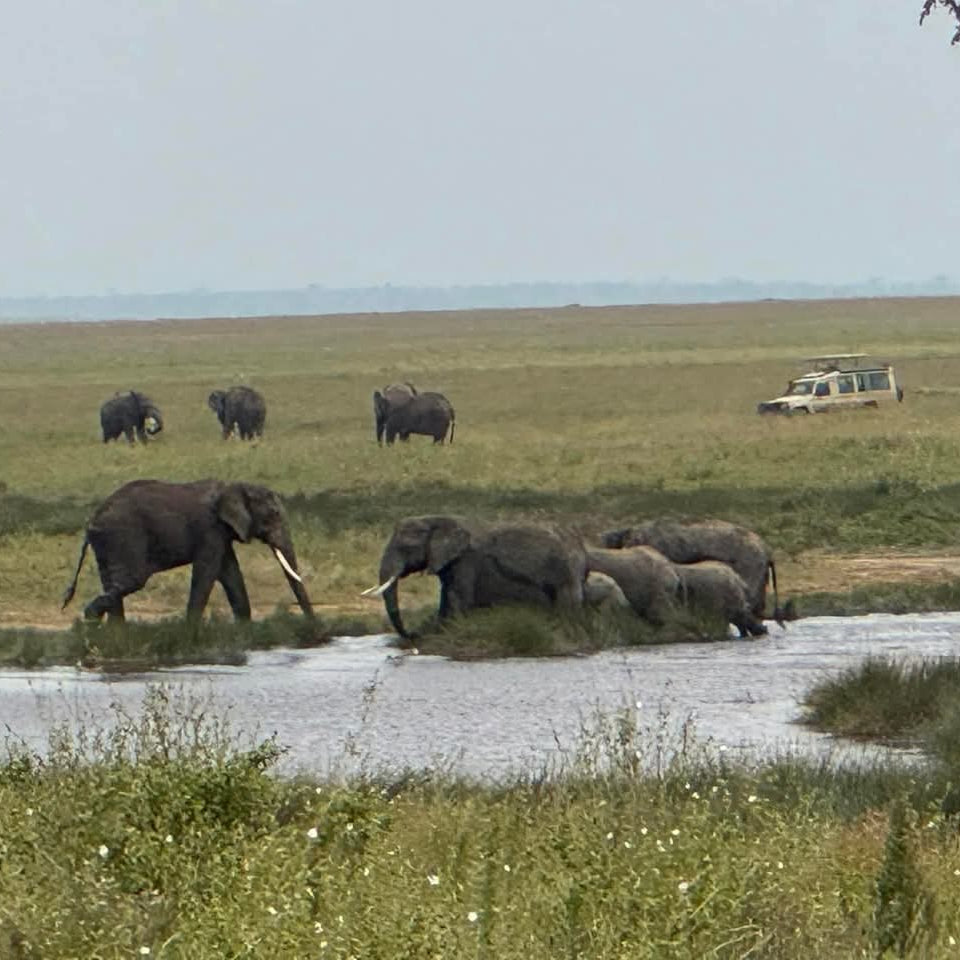 10-Day Nairobi City Tour, Amboseli, Lake Nakuru, Masai Mara, and Mombasa City Safari
