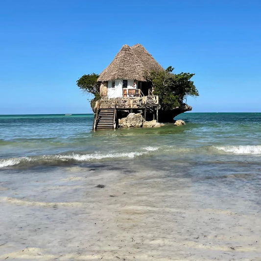 3 Days Zanzibar Dolphin safari