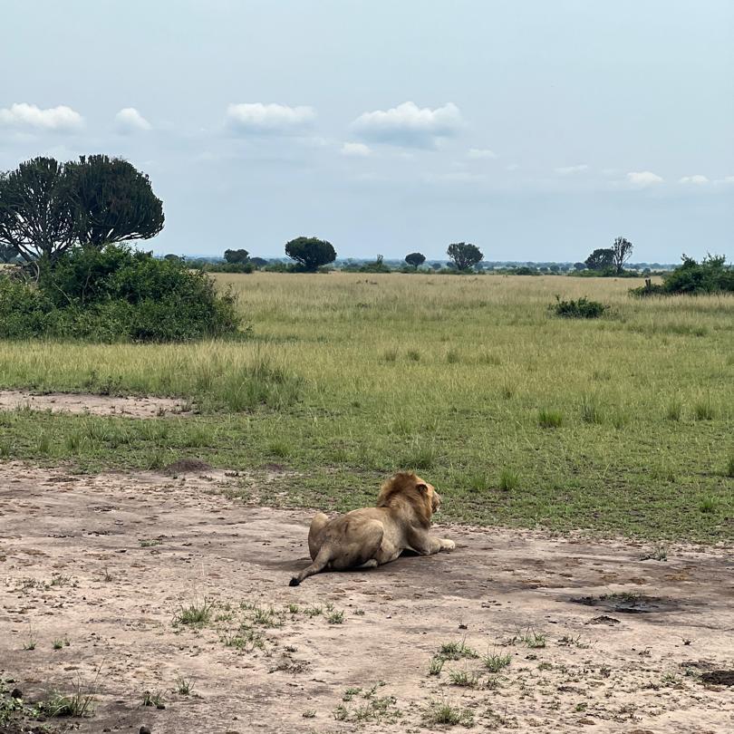 3-tägige Flugsafari zum Kidepo Valley Nationalpark.